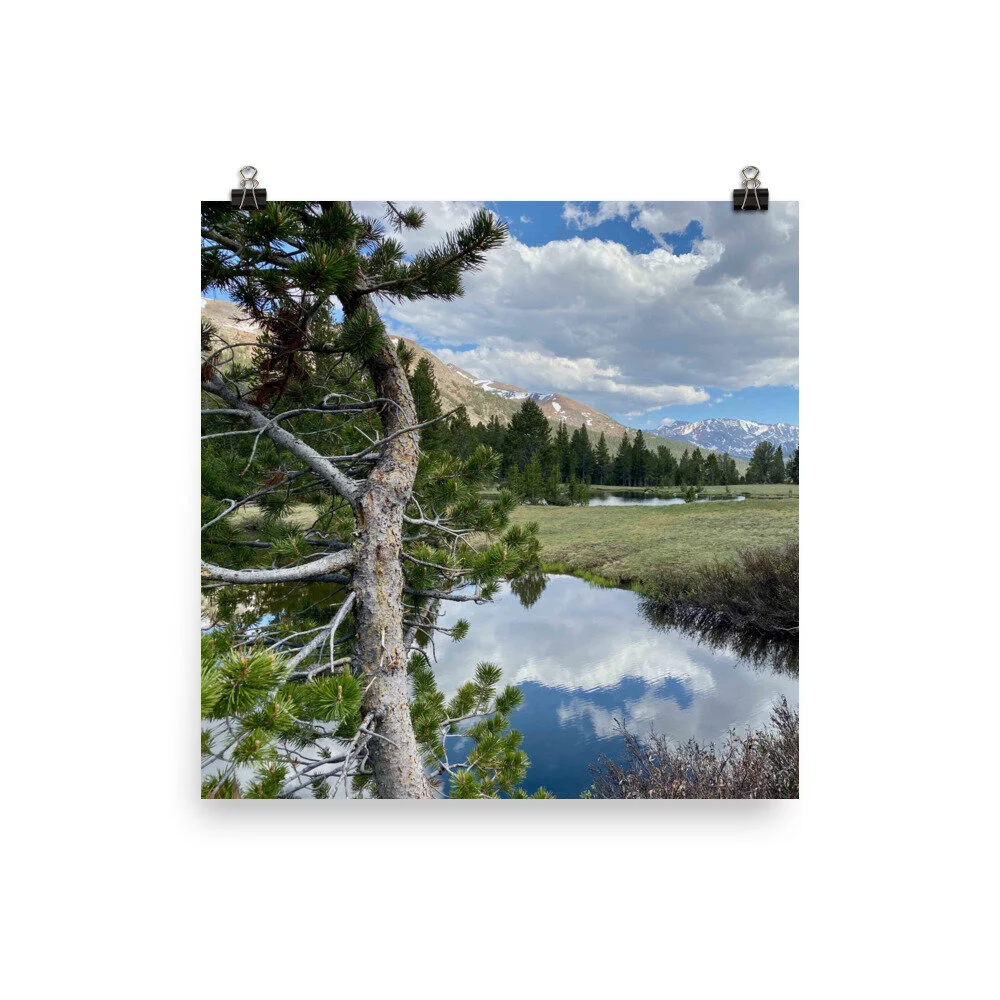 premium-luster-photo-paper-poster-(in)-18x18-transparent-601f31c5f329e.jpg