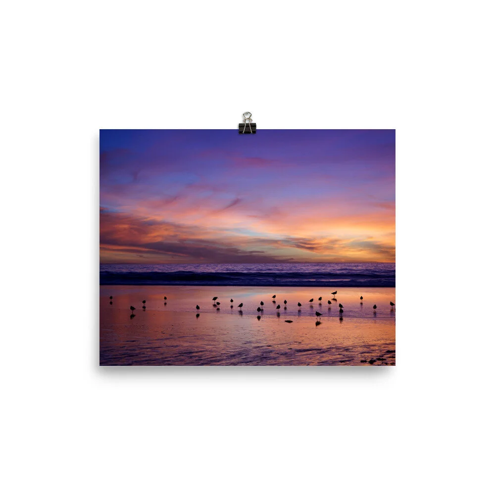 premium-luster-photo-paper-poster-(in)-8x10-transparent-601f33e421c5a.jpg