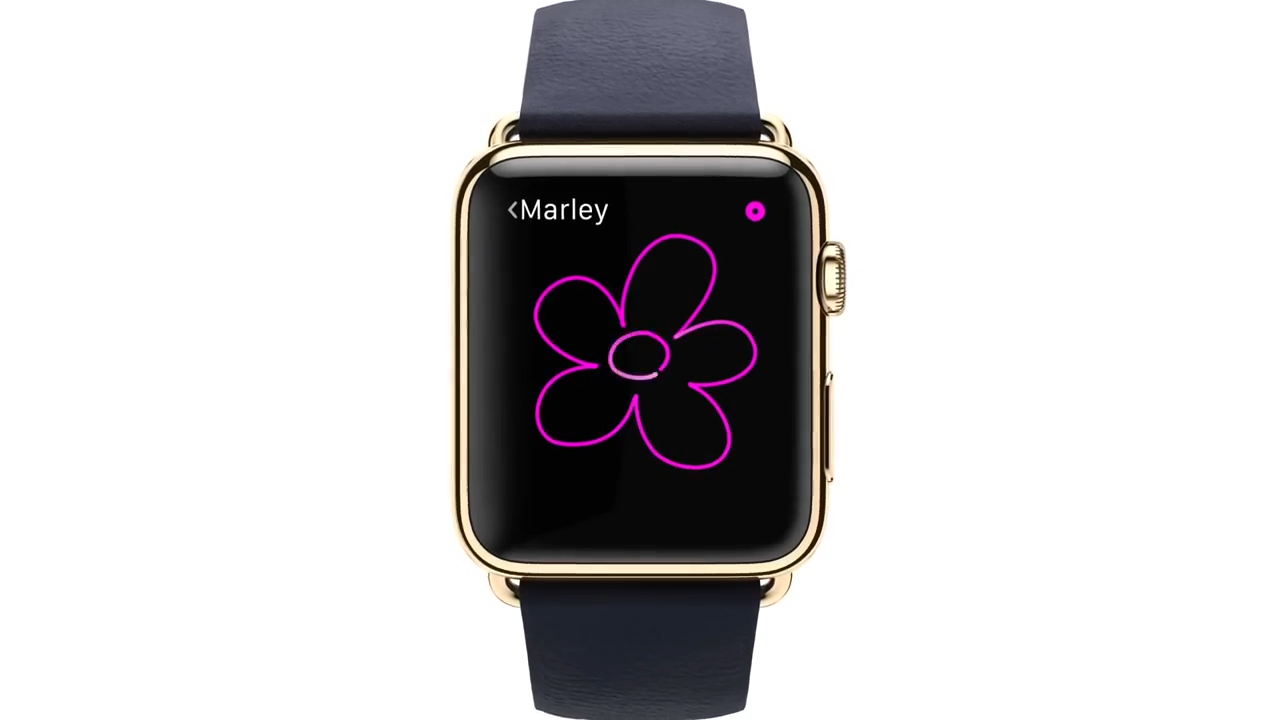 Apple Watch Official Video (0;00;49;16).png
