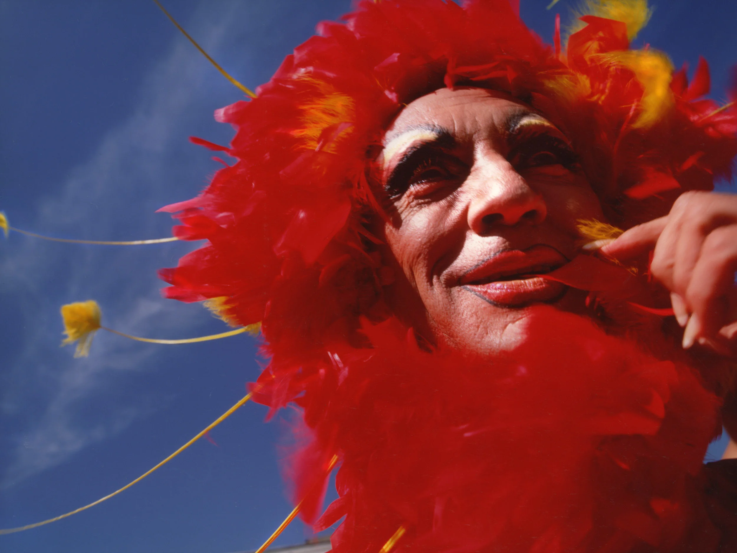 terencestamp_theadventurespfpriscilla copy 2.jpg