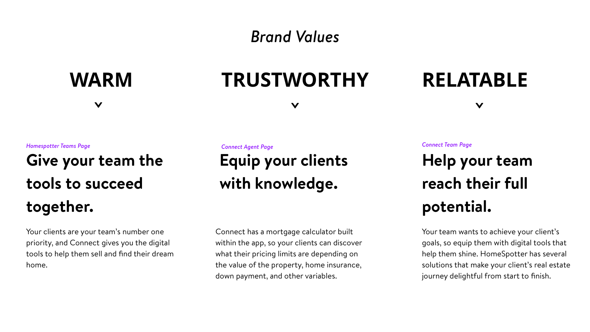 Developing Brand Values and a Brand Voice