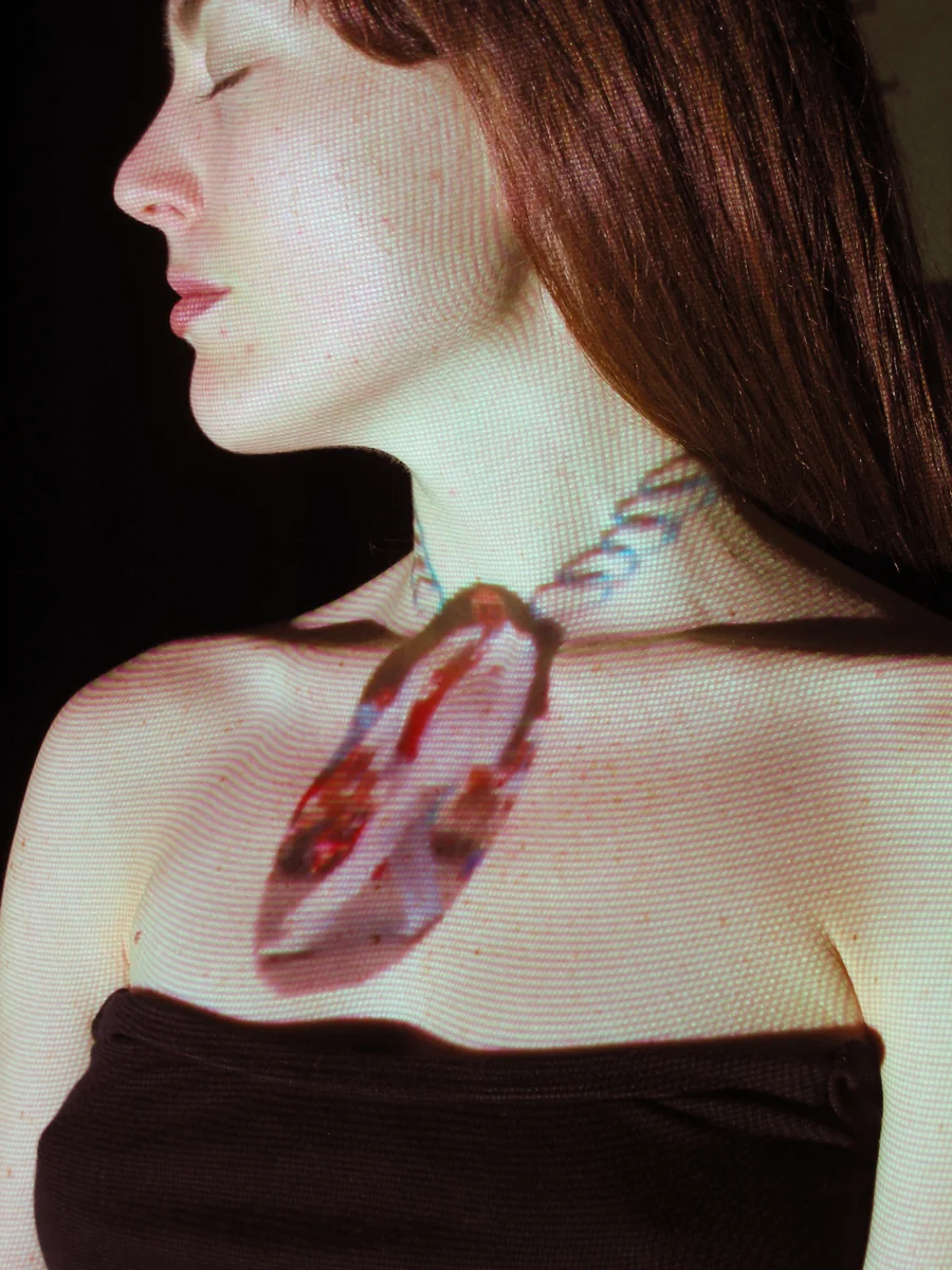 IOCWAMB VII. digital projection on model