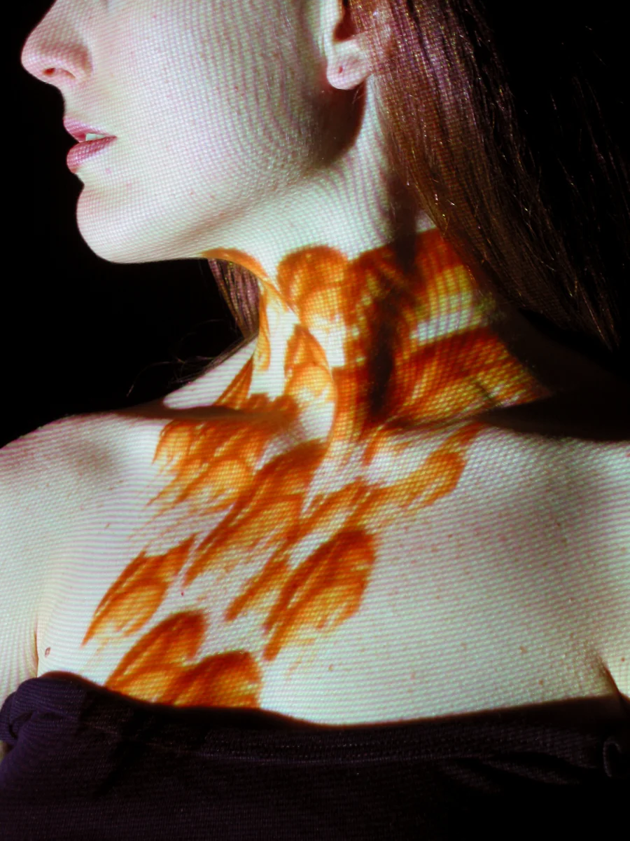 IOCWAMB IV. digital projection on model