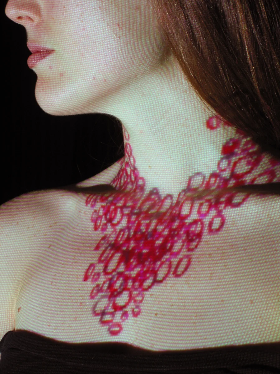 IOCWAMB VI. digital projection on model