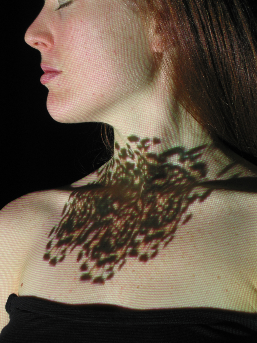 IOCWAMB V. digital projection on model