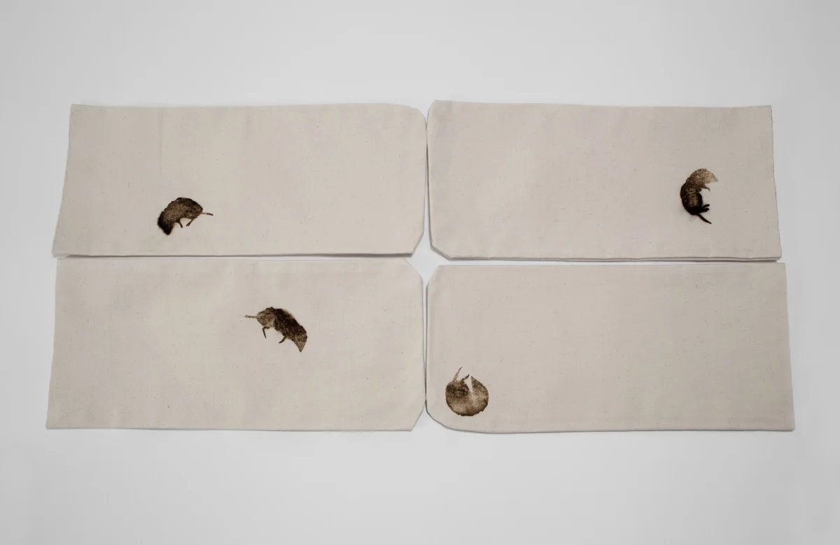 Voles, prints. 19"x9"