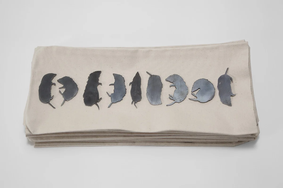 Voles, 2006. steel, canvas. 19"x9" (prints), 3"x1" (voles)