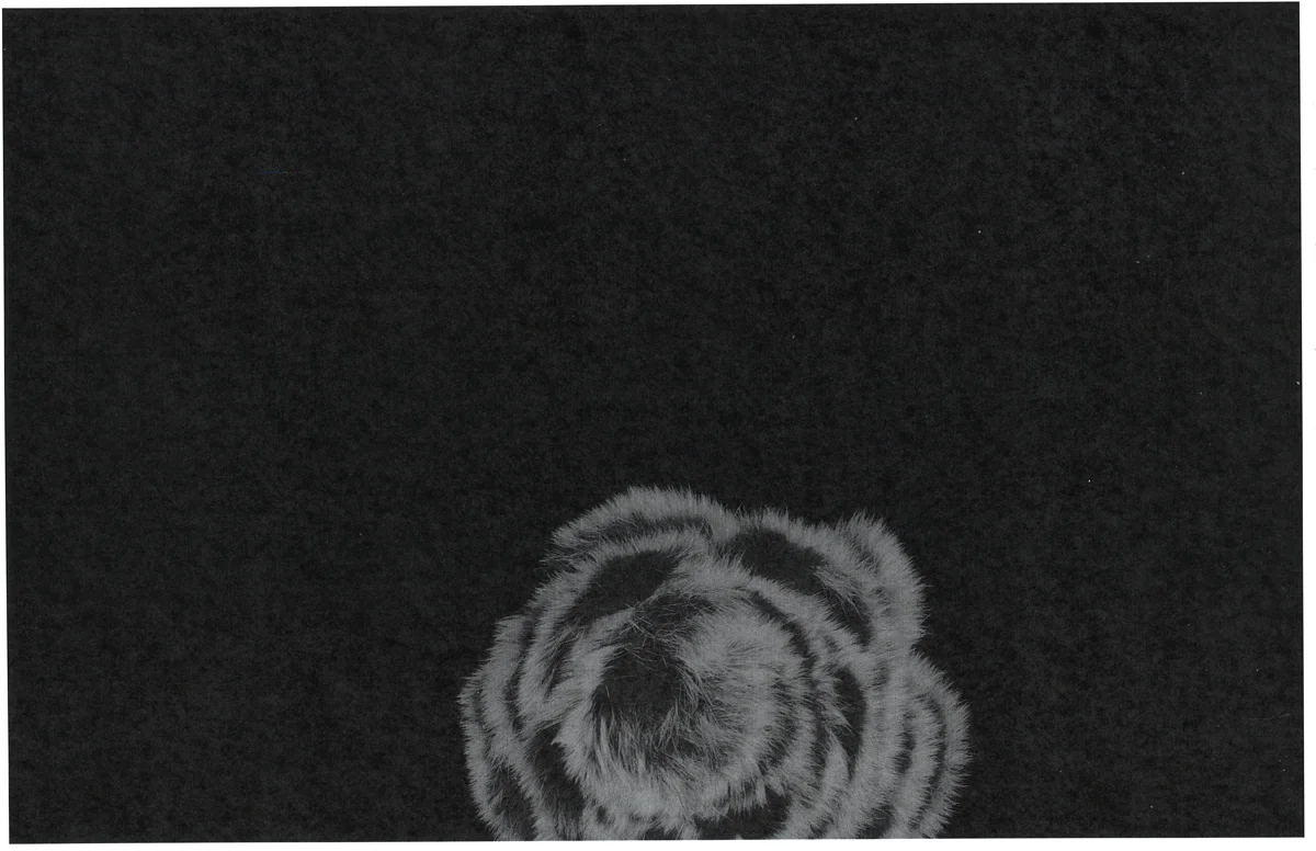 FurRoseSingle.web.jpg