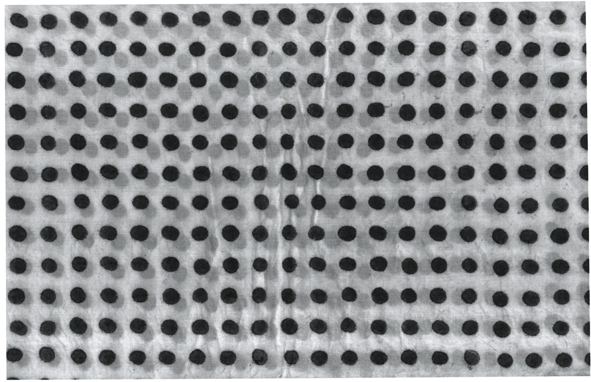 PolkaDotCase.web.jpg