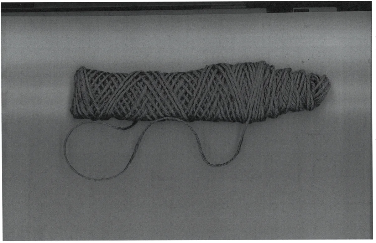 TwineSausage.web.jpg
