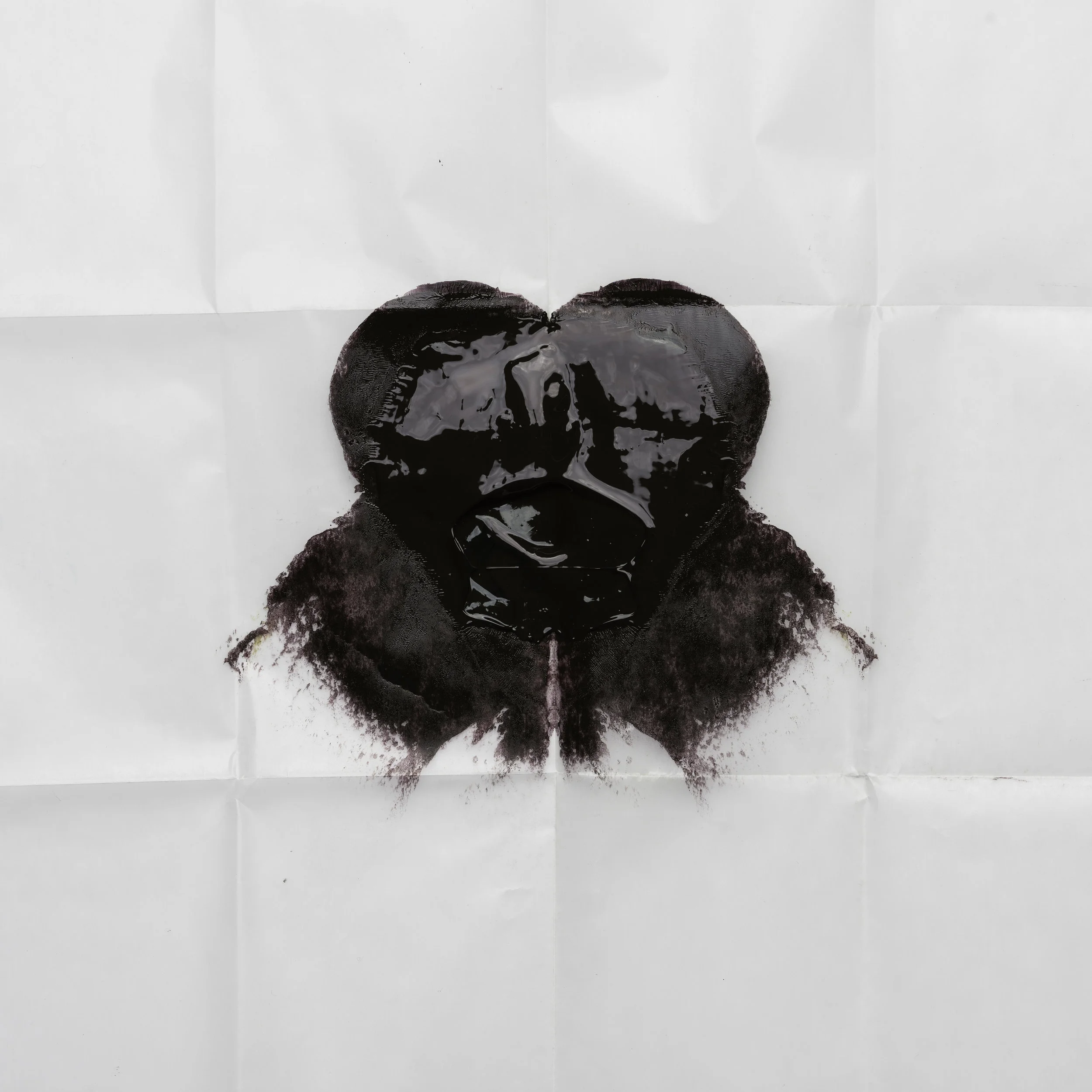 dark brown mickey