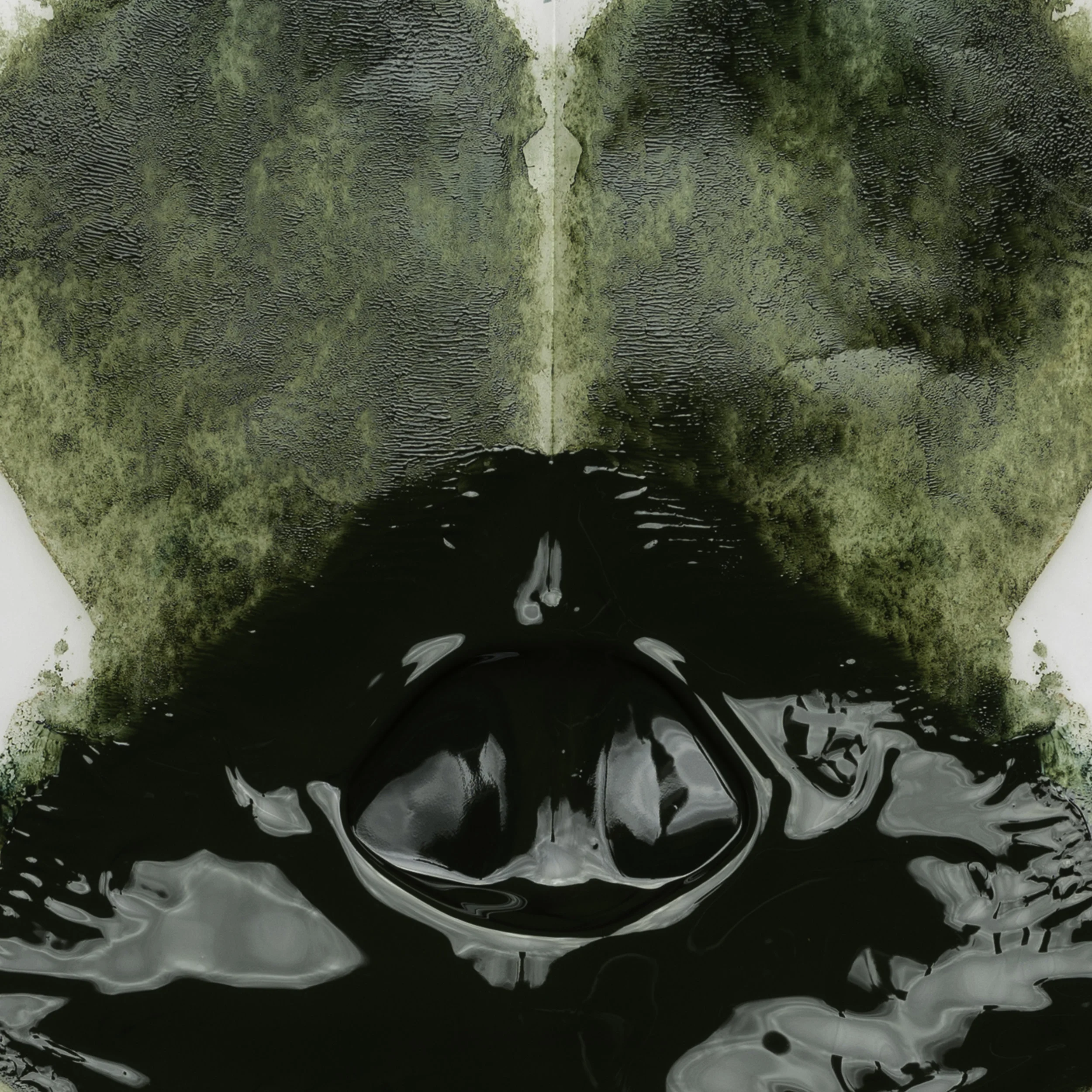 dark green beetroot ears