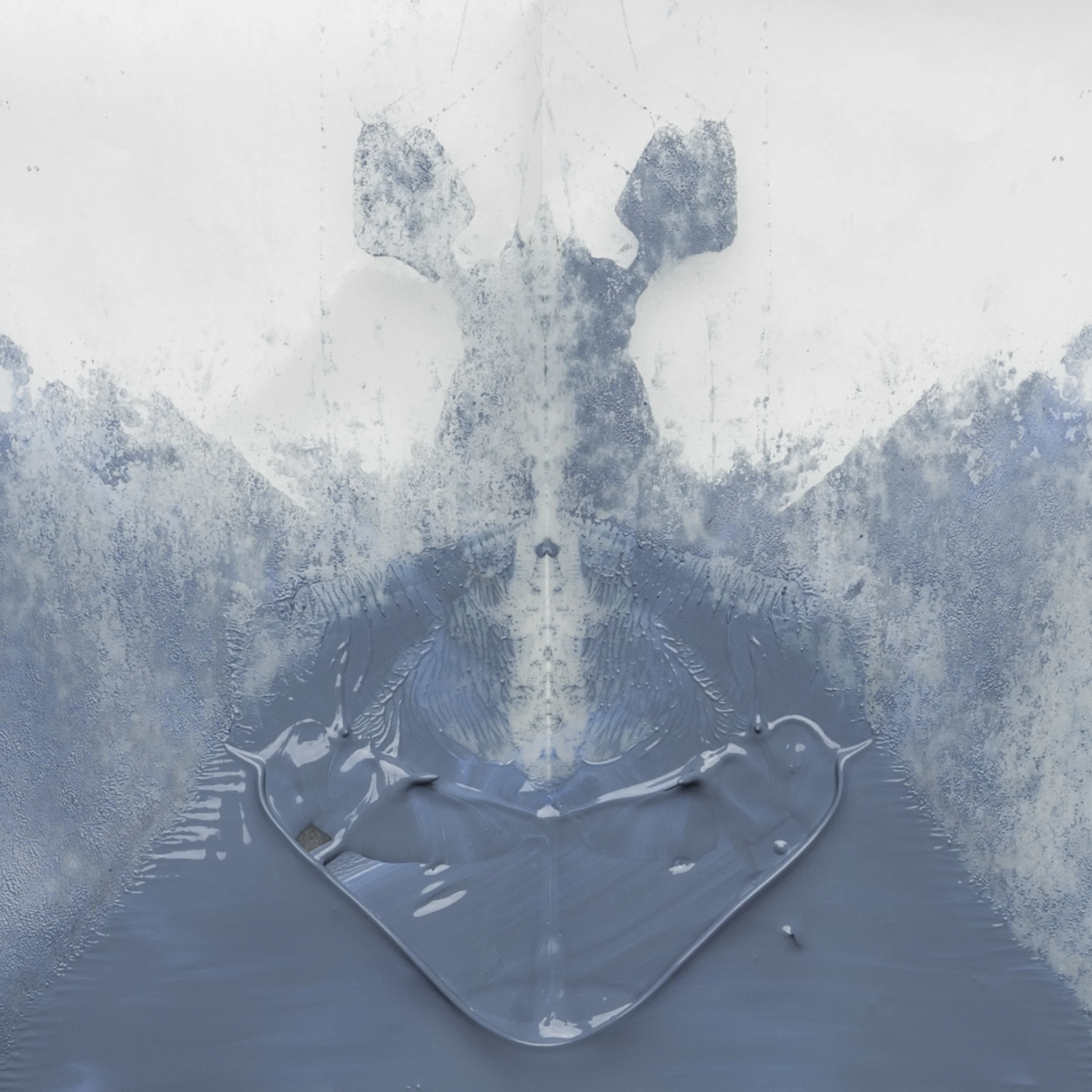 light blue snail with ears