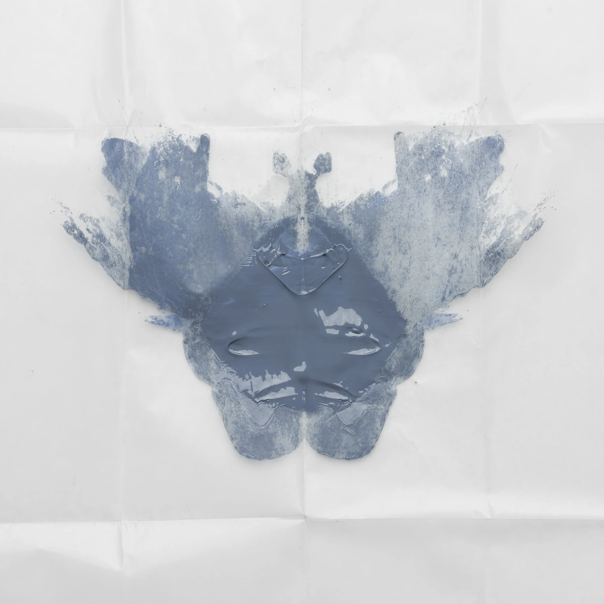 light grey blue butterfly