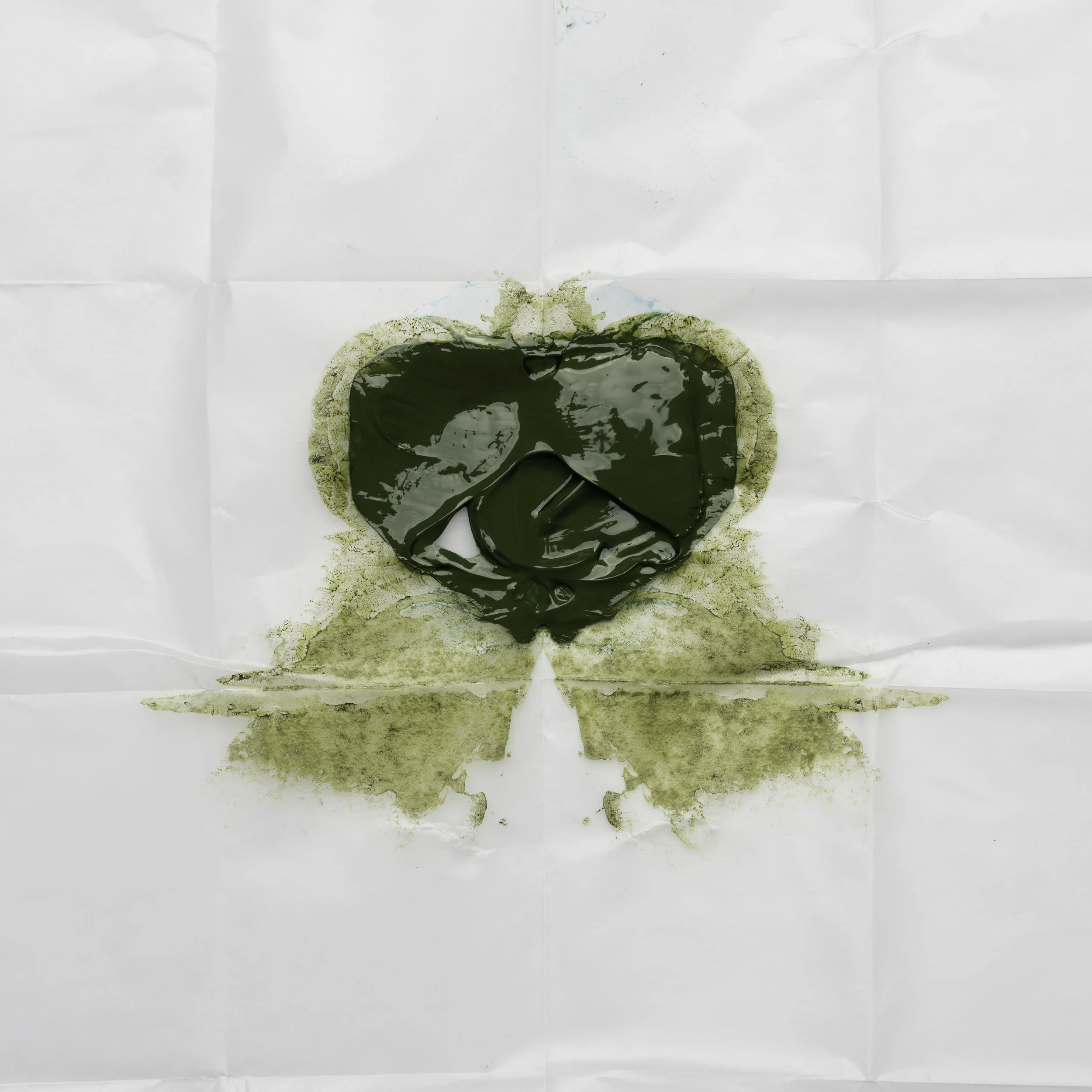 olive green ribbon