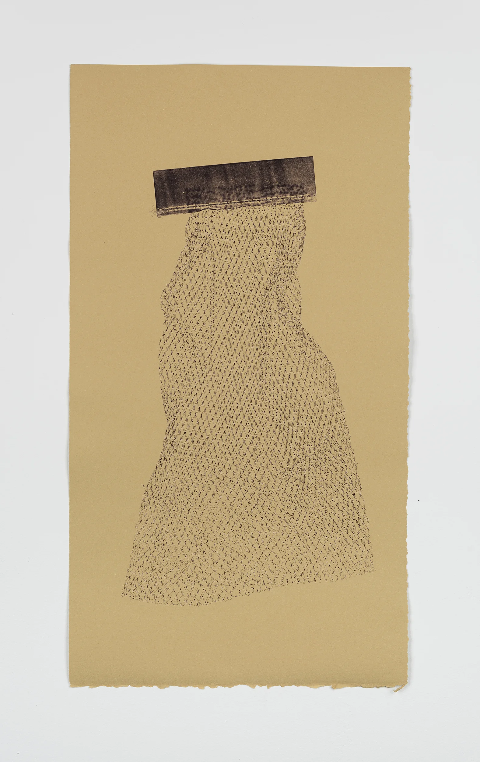 Onion Net