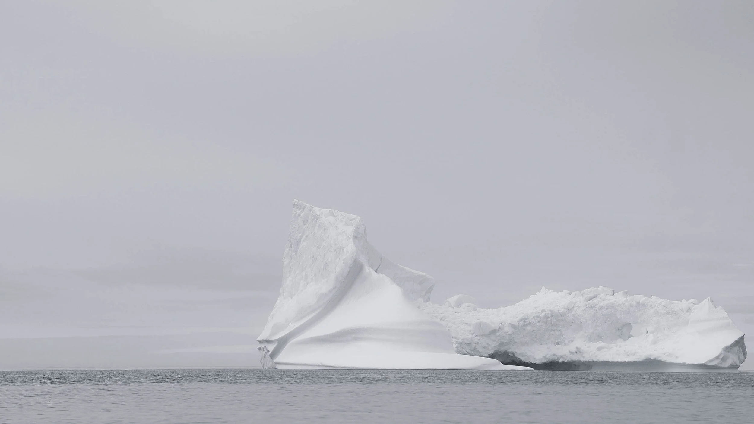 _DSC6547.jpg