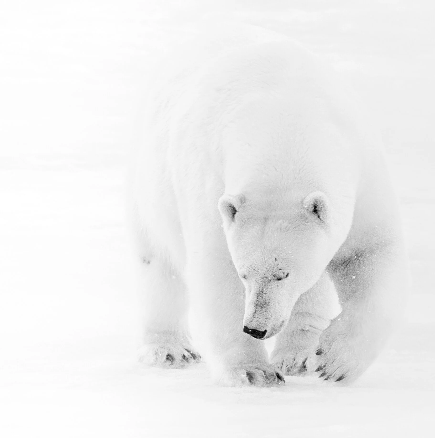 0N3A1081.jpg