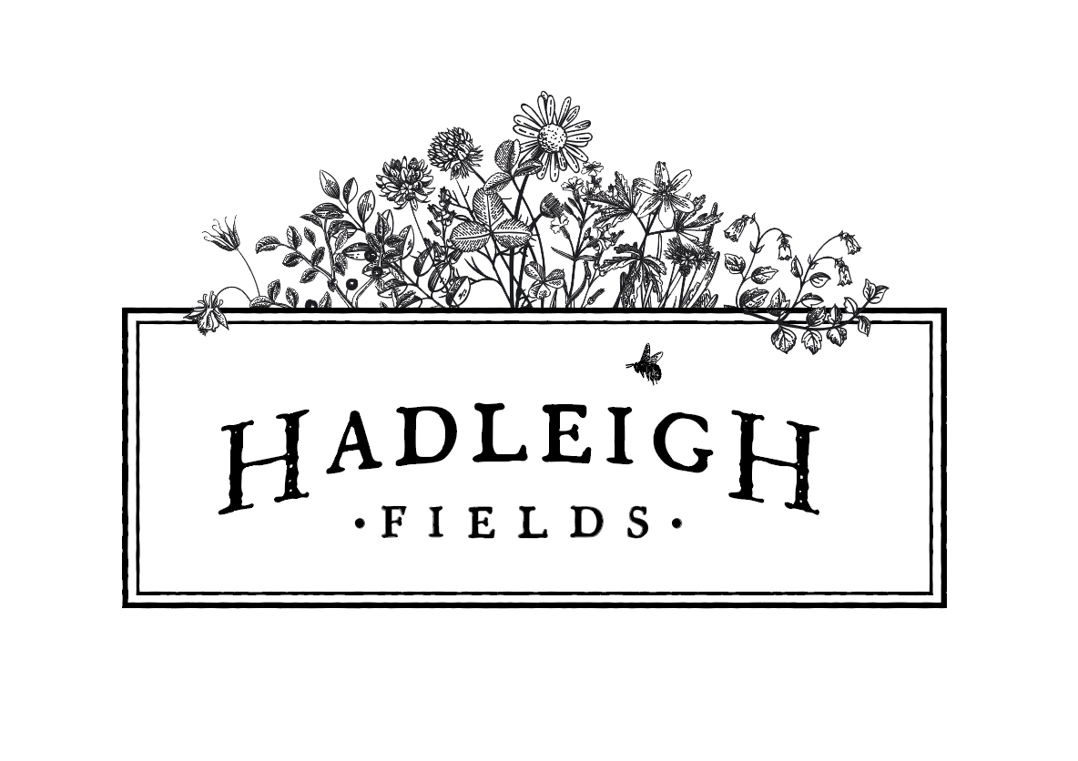 Hadleigh Fields