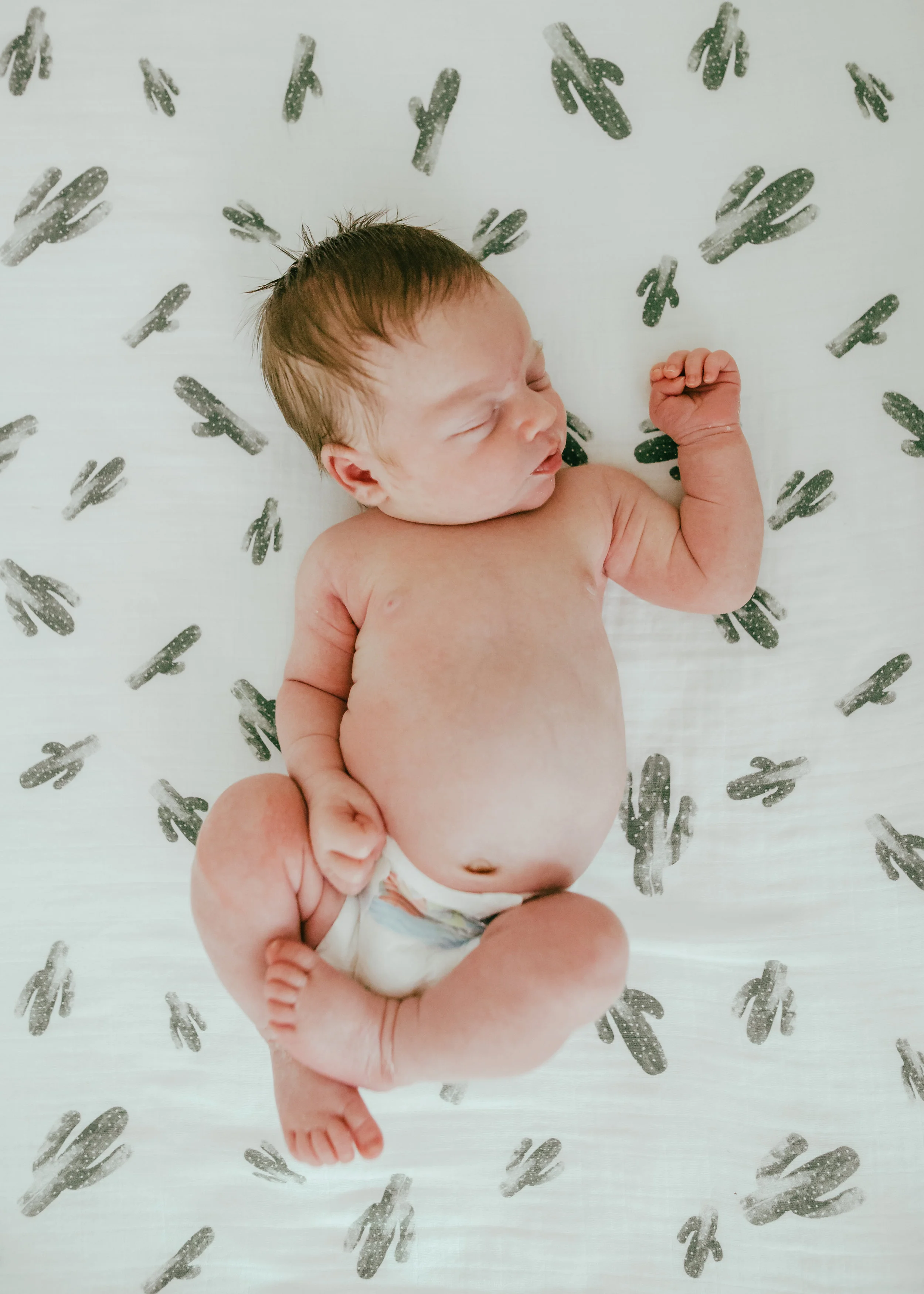 BabyBeau-1.jpg
