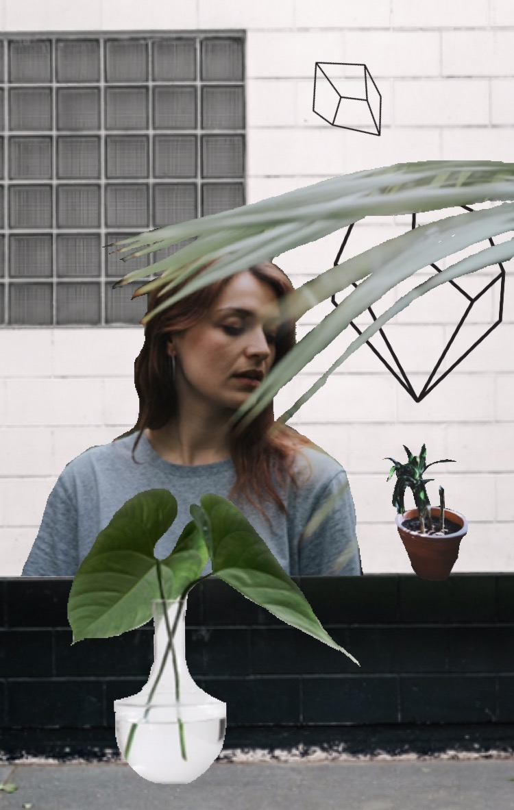 PlantWall.jpeg