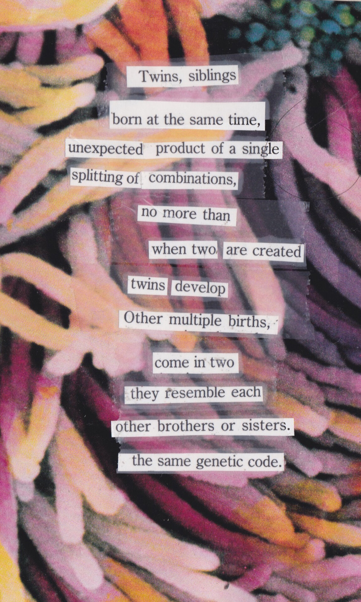 poems2.jpg