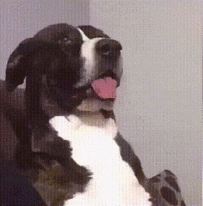 _gif3.gif