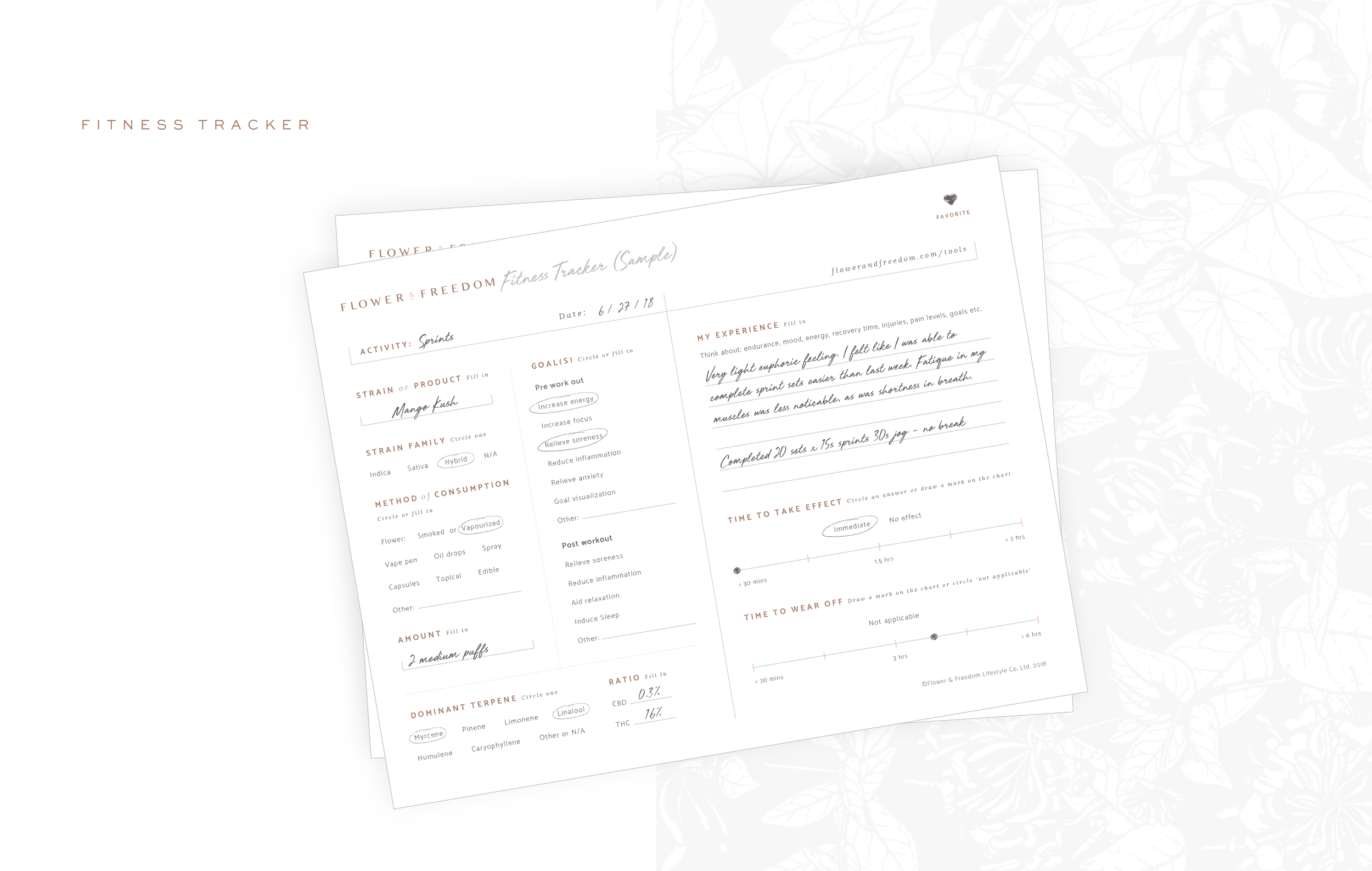 F&F_CaseStudy_Fitness Tracker.png