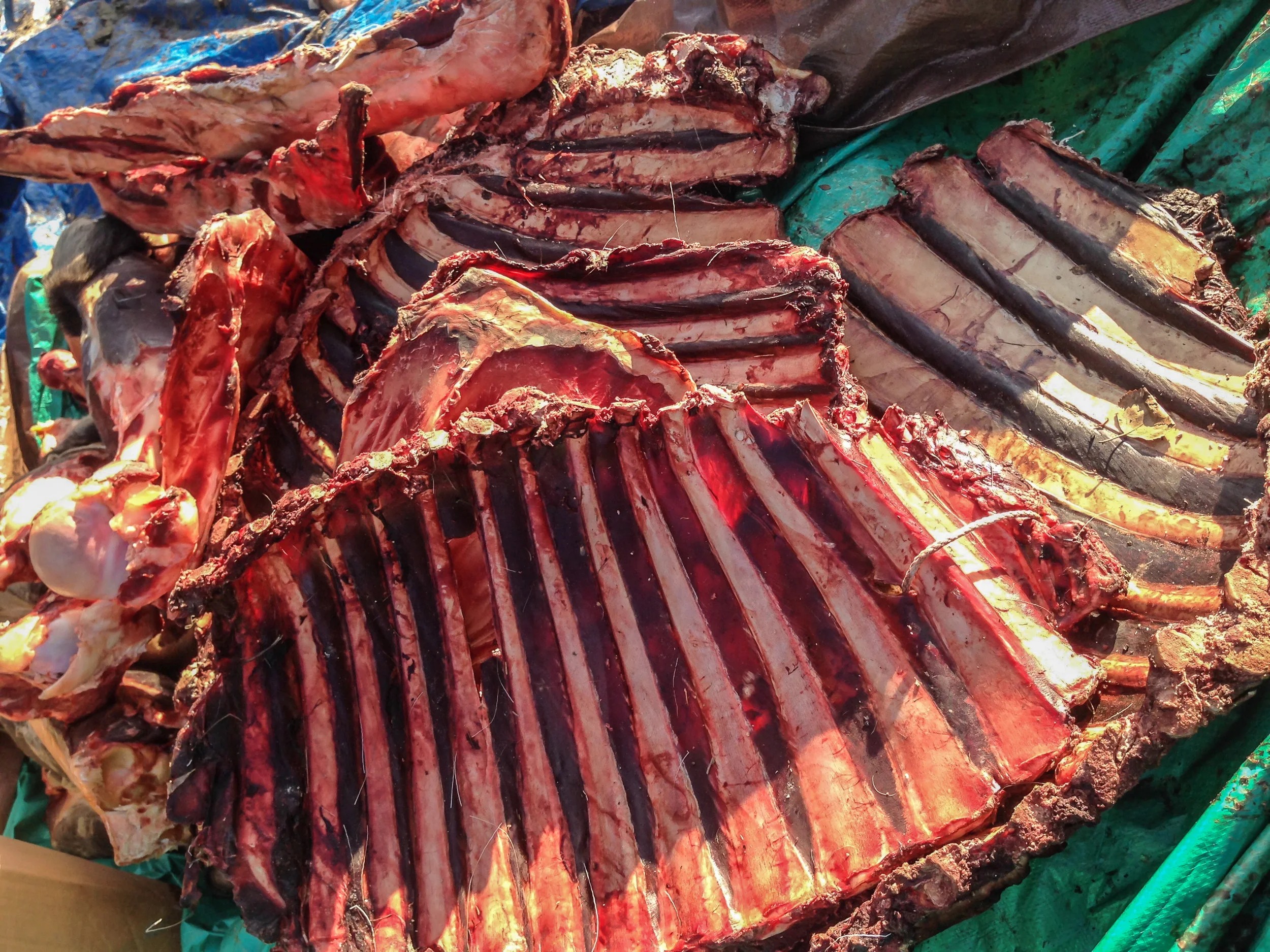 Racks of Ribs