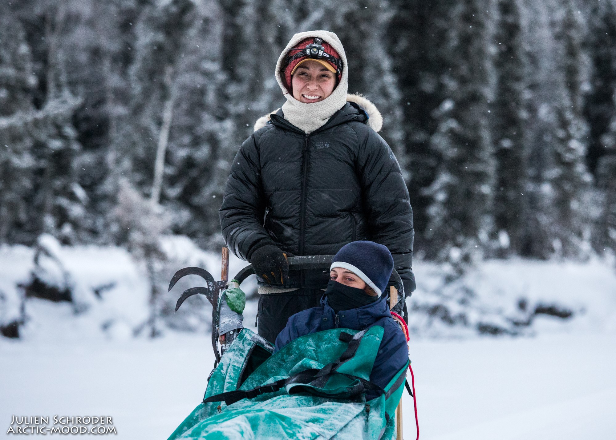 Dog Sledding Fairbanks (Copy)