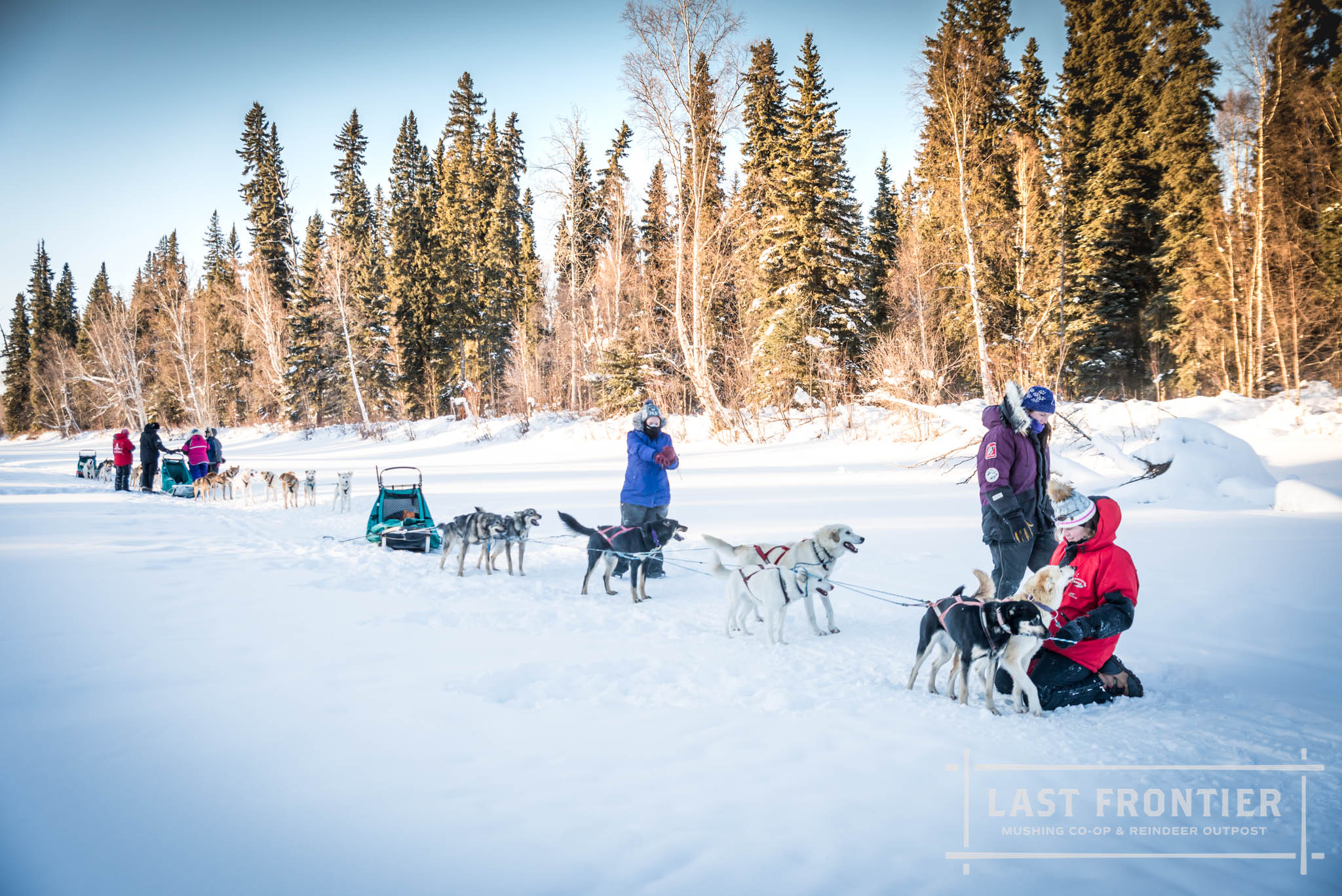 Chena River Mush (Copy)