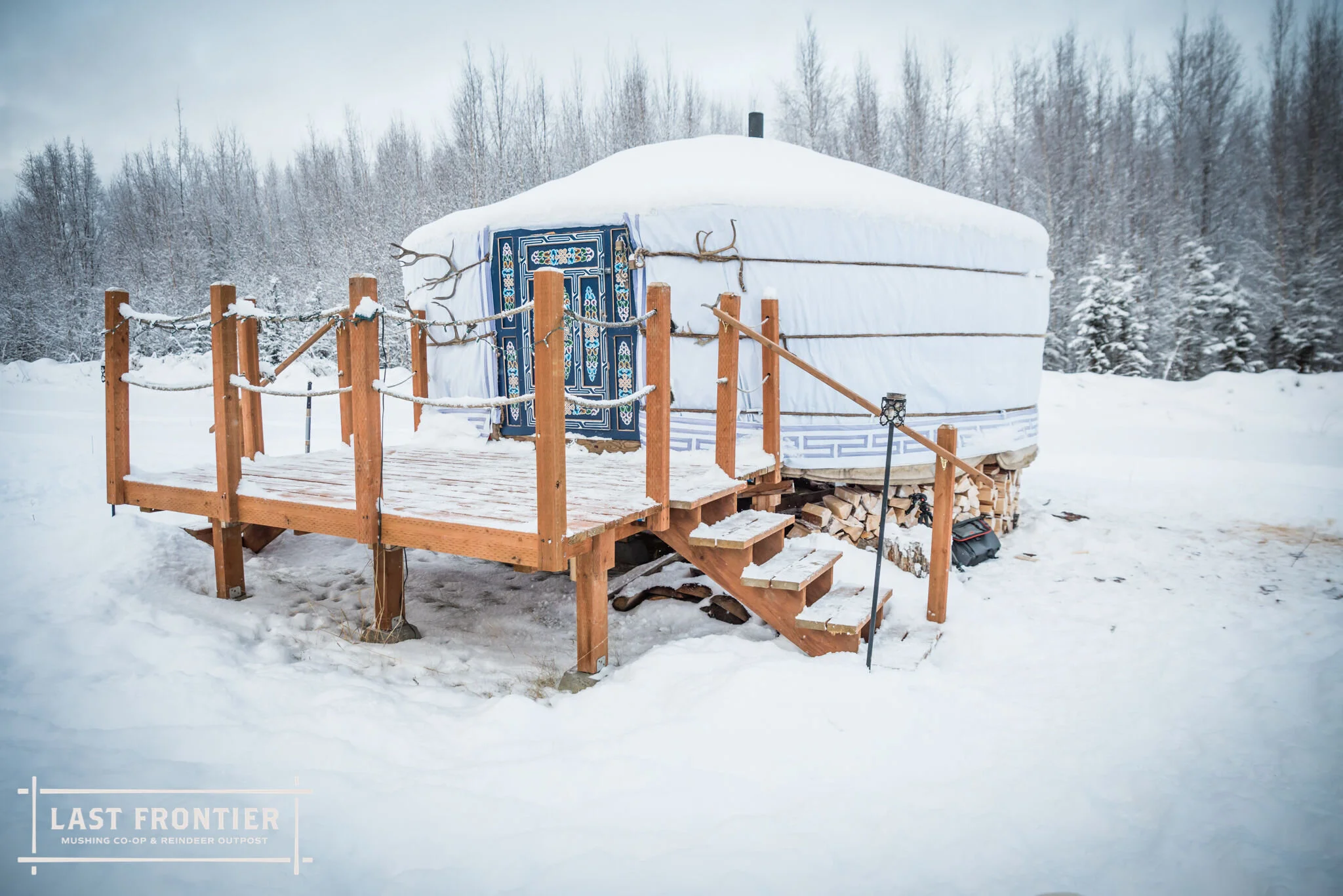 The Best Alaska Travel Experiences With Dog Sledding Aurora Tours Arctic Adventures