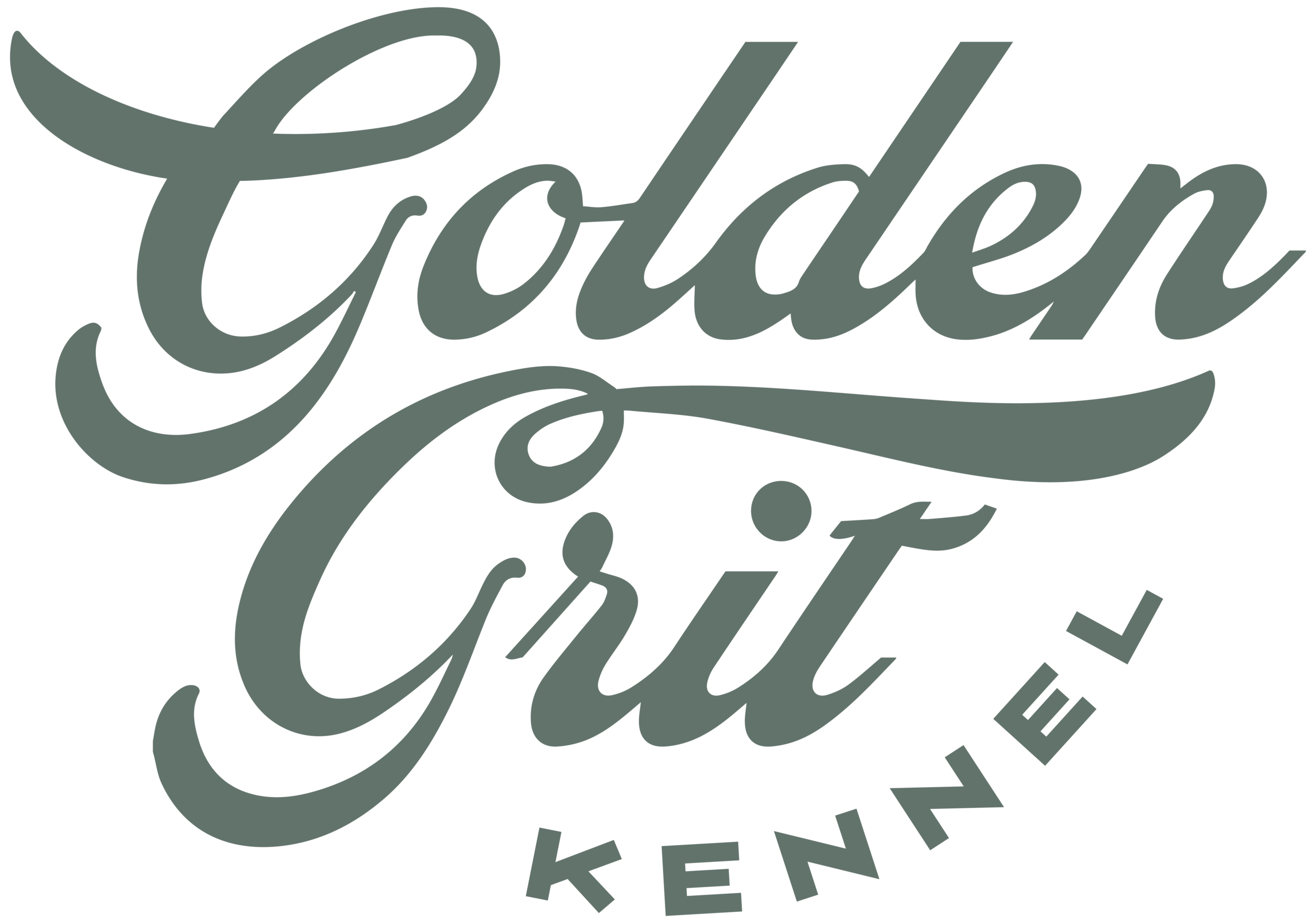 Golden Grit Kennel