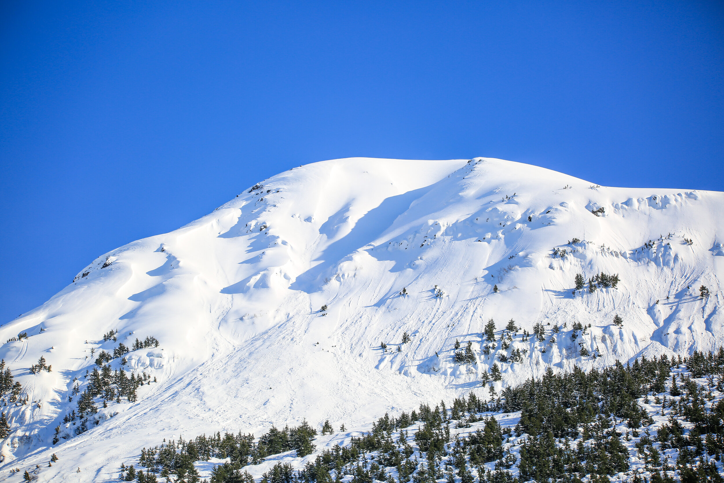 AdobeStock_378019341.jpeg