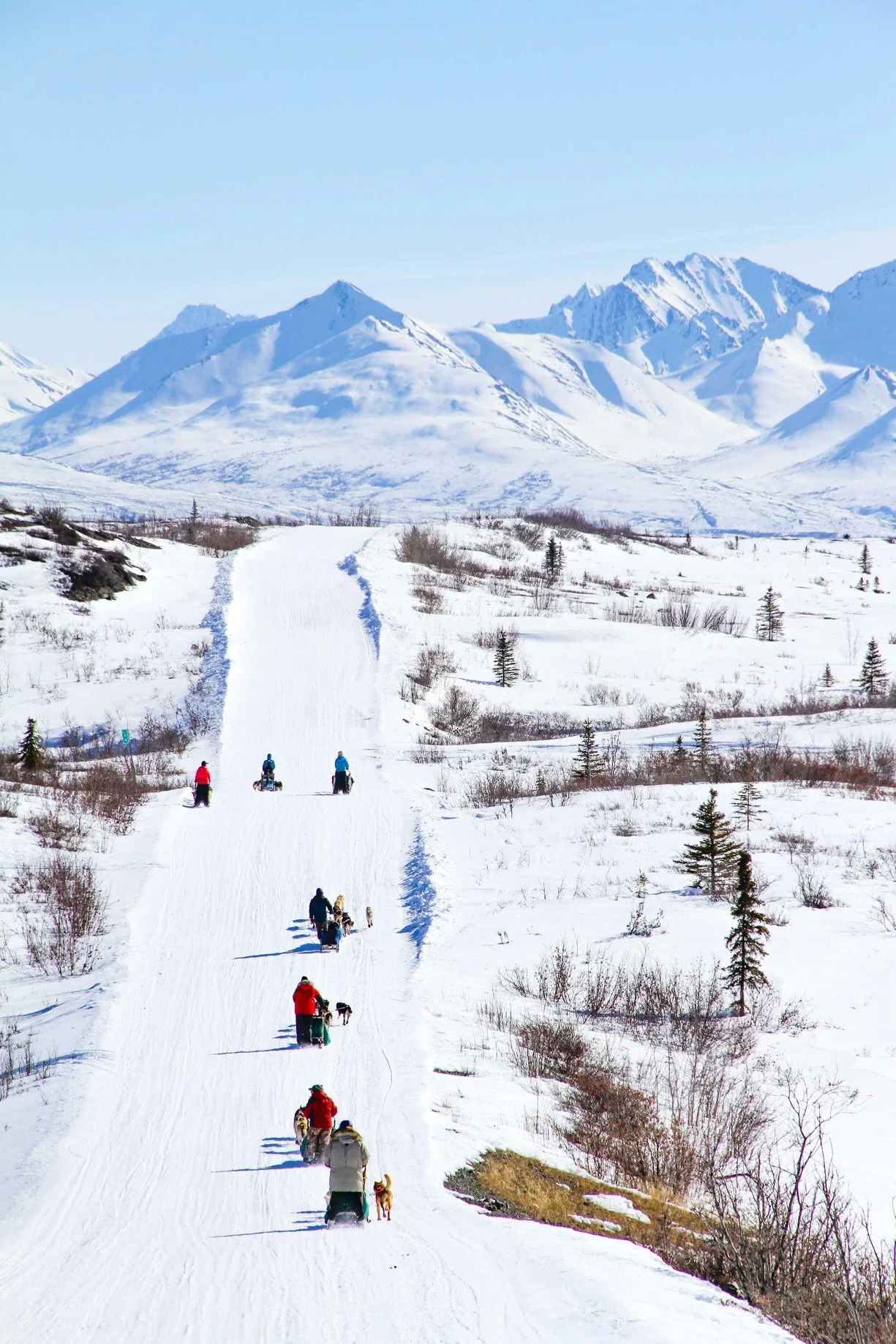 Dog Sledding Alaska Multi Day