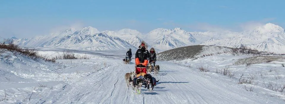 Dog Sledding overnight trip adventure