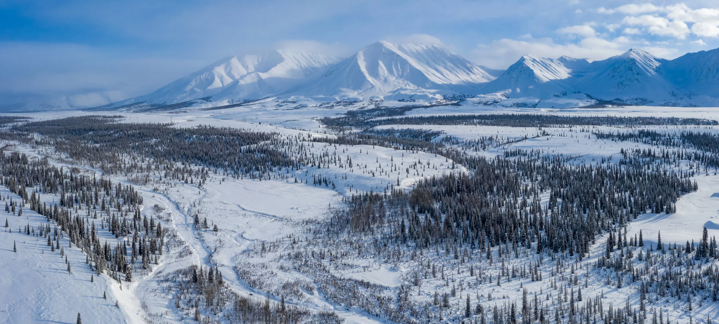 Denali Highway Winter Dog Sledding