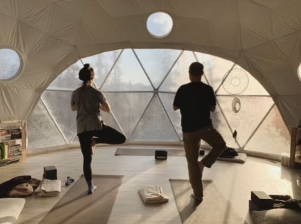 Arctic Hive