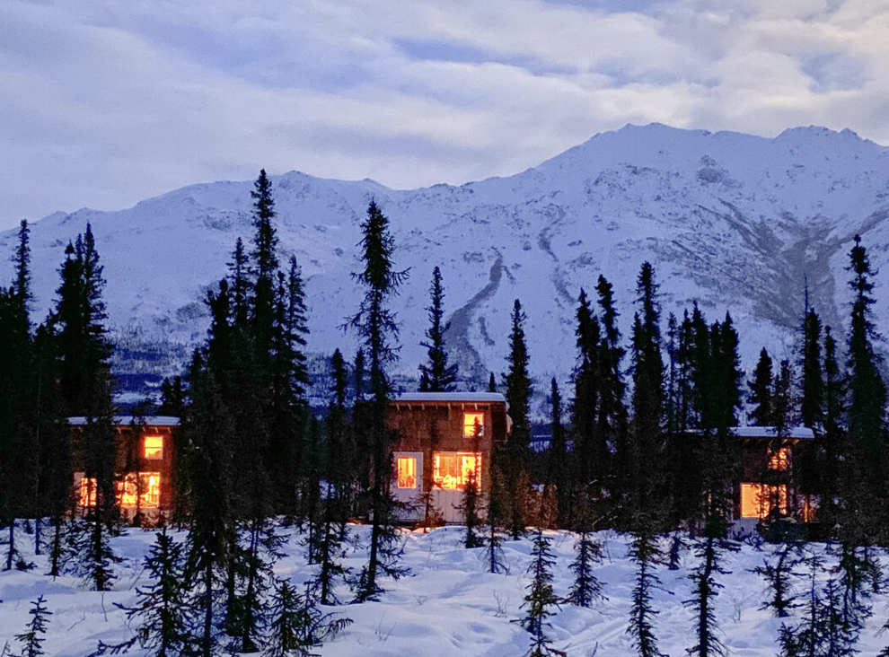 Arctic Hive