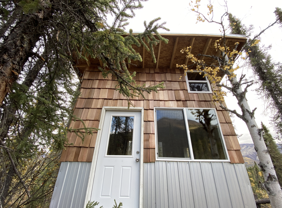 Arctic Hive