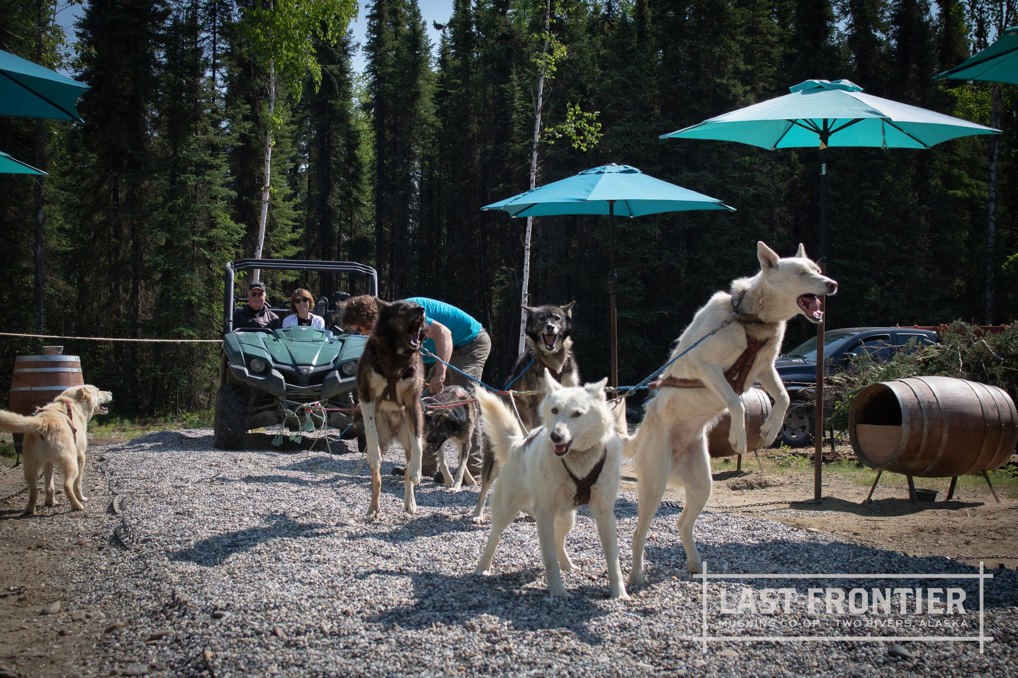 Last Frontier Mushing Co-op-86.jpg