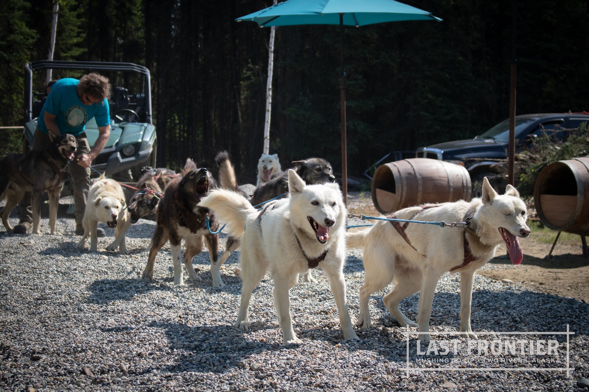 Last Frontier Mushing Co-op-88.jpg