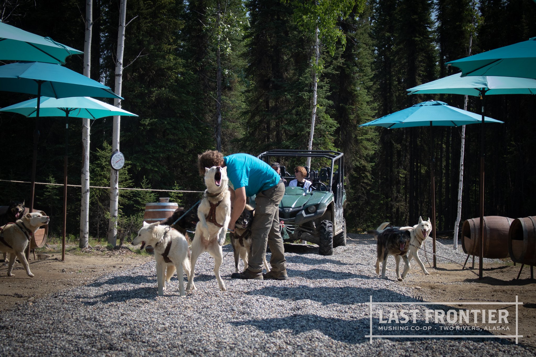 Last Frontier Mushing Co-op-84.jpg