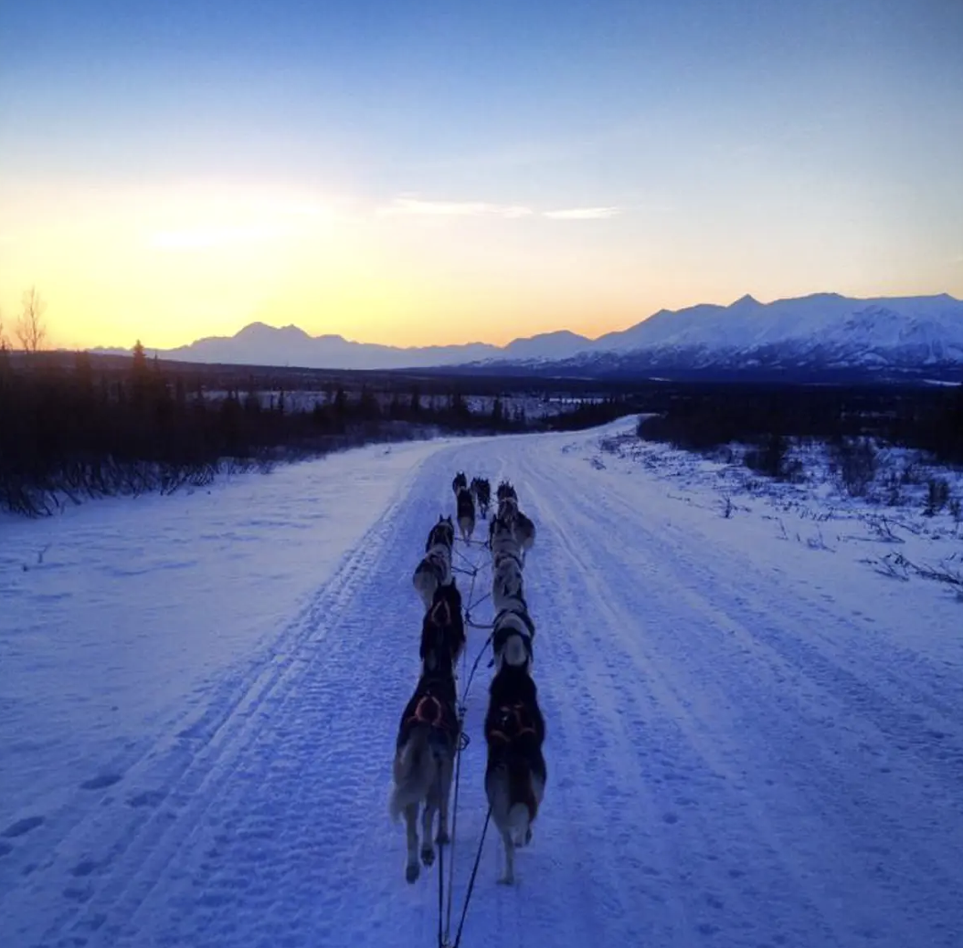 Denali Highway Alaska dog sledding expedition
