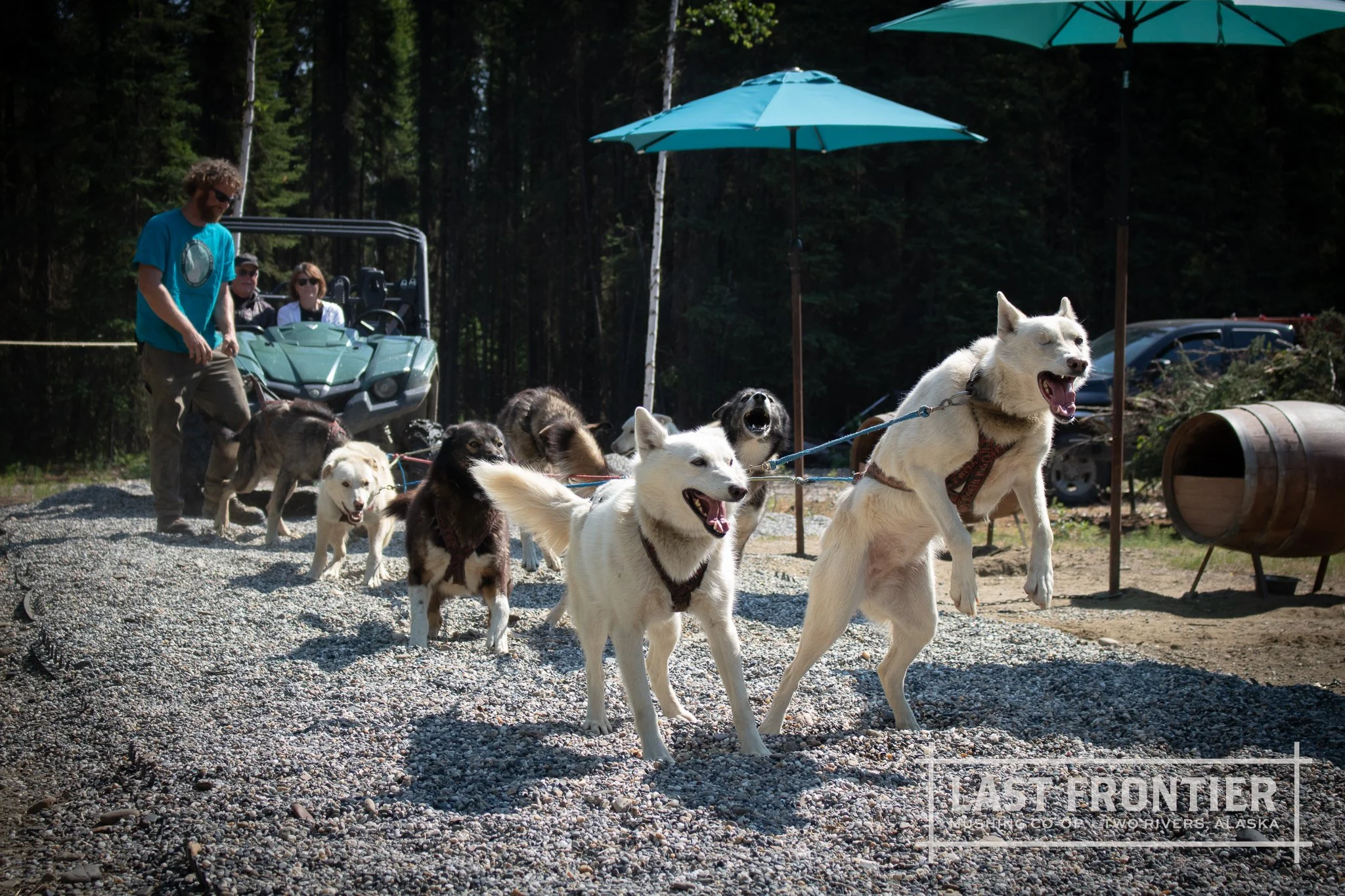 Last Frontier Mushing Co-op-89.jpg