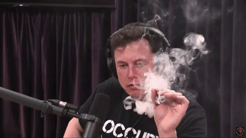 ELon SMokin.gif