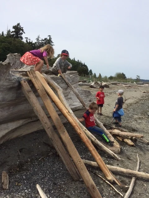 The Orcas' Last Nature Day