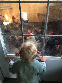 ICP Visits Bountiful Farm