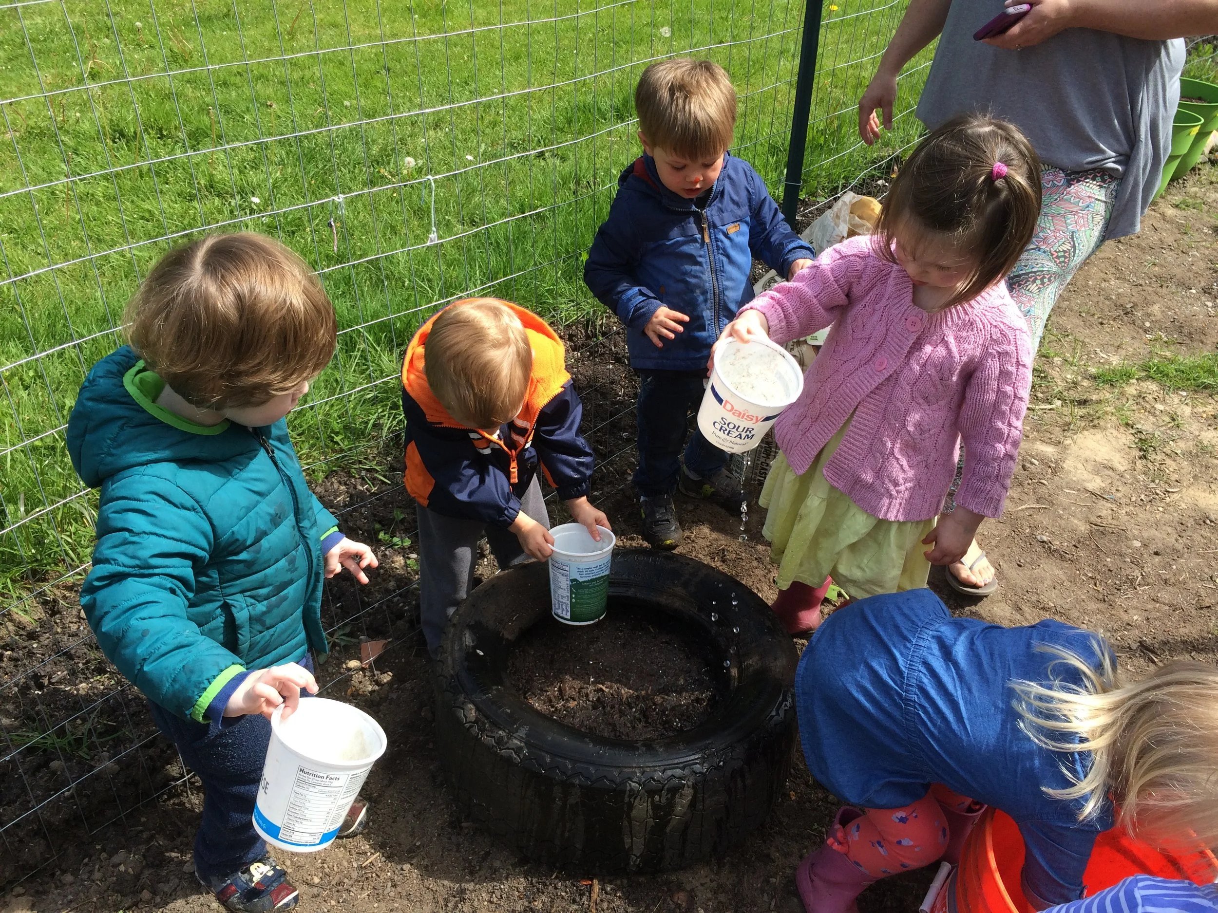Sea Otters 2 3 Years Island Cooperative Preschool