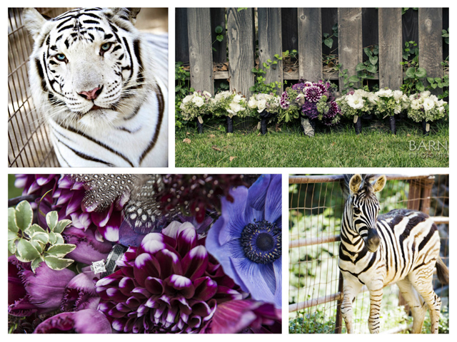 Real Wedding: Rancho Las Lomas